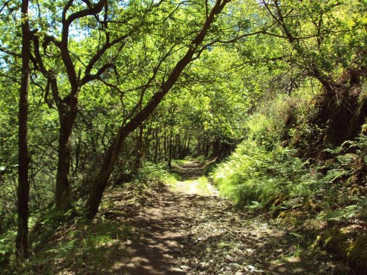 Albergue Valle Del Nonaya Salas  Zewnętrze zdjęcie
